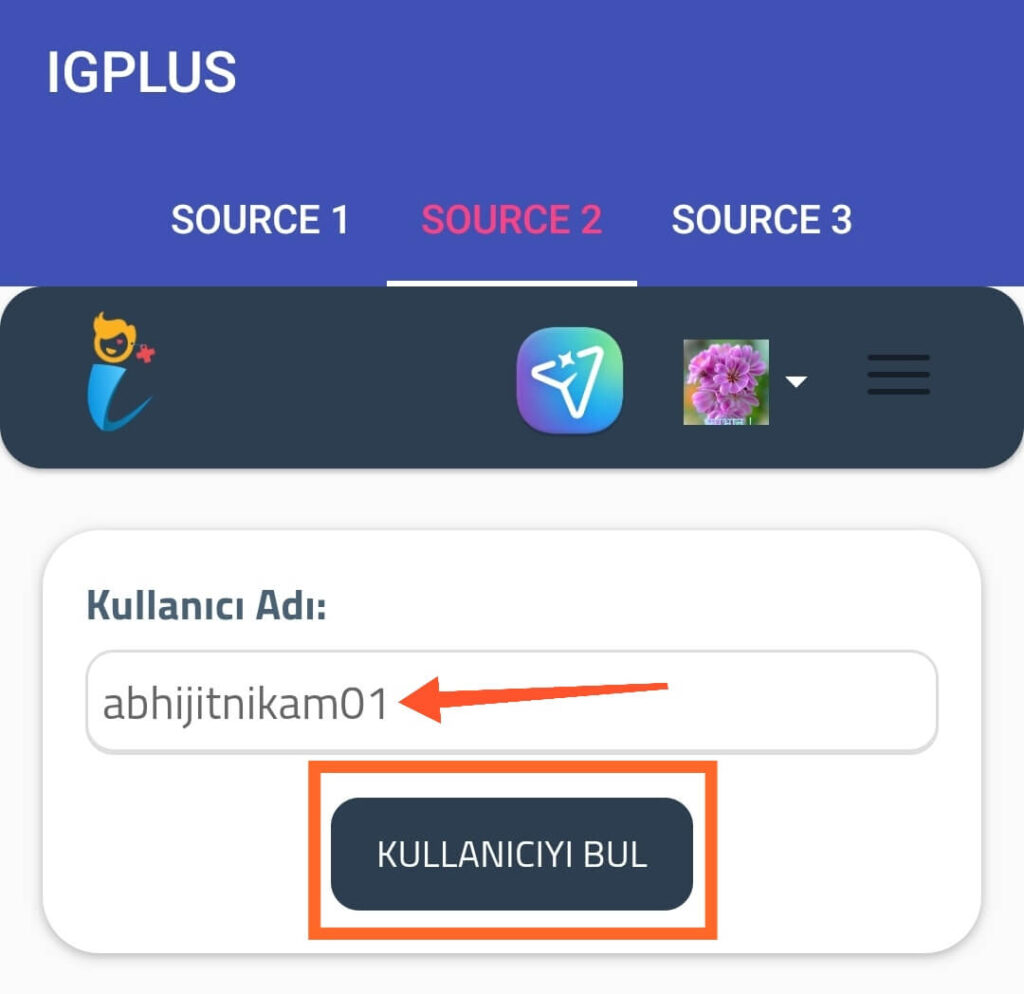 Enter Real Instagram Account Username in IG Plus App