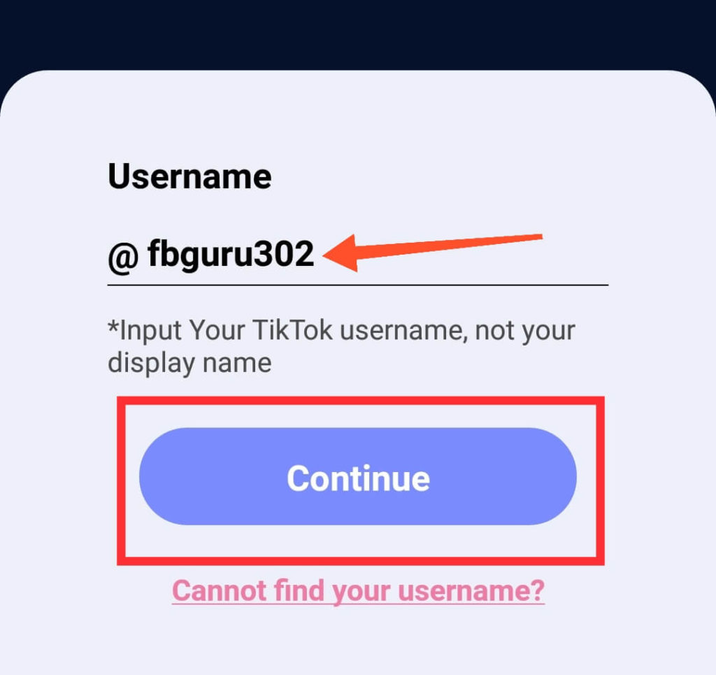 TikTok Username